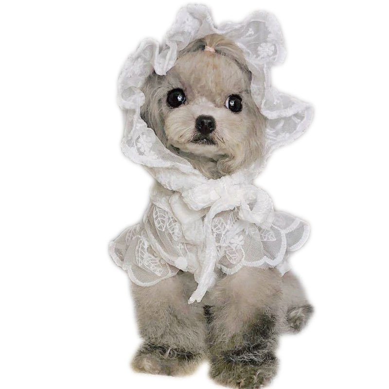 White Lace Princess Dog Weedin - Xl Summer Clothing review and price